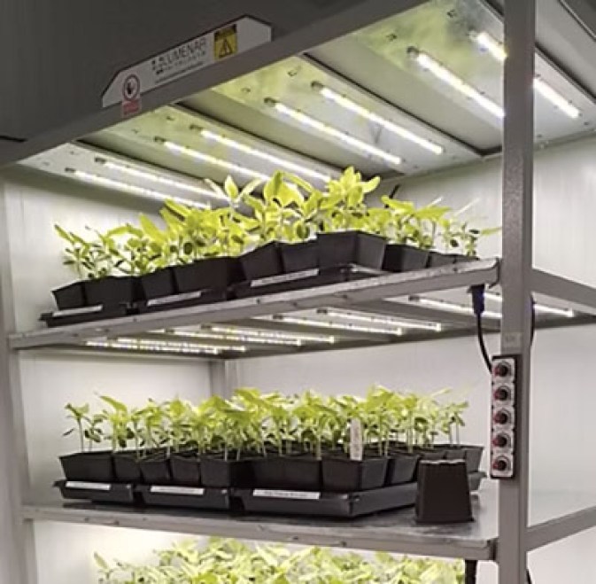 horticultura