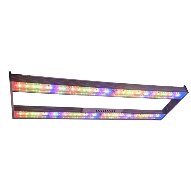 PHY-2M-645-PPF-01