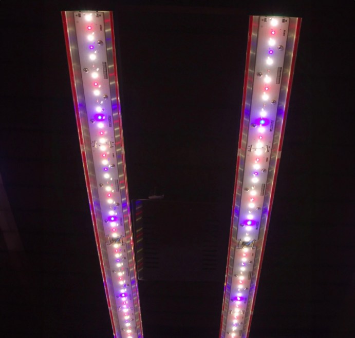 PHY-2M-645-PPF-02