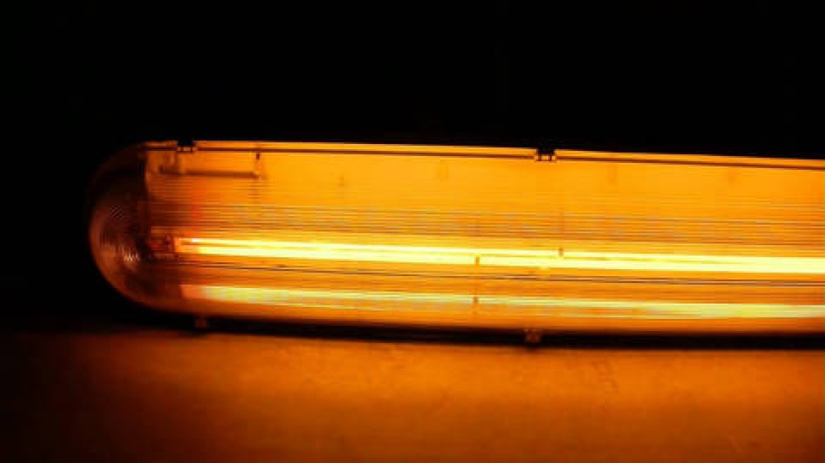 PLFI-02